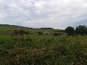 IMG_20190802_084334